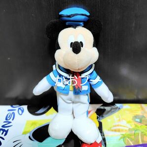 ディズニーランド ディズニーパルパルーザ ドナルドのクワッキーダックシティ ぬいぐるみバッジ ミッキーマウス