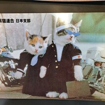 当時物　なめんなよ　なめ猫　なめねこ　下敷き　暴猫連合　日本支部　昭和レトロ　時間割　五種類_画像6