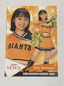 高坂咲舞 2023 BBM チアリーダー 舞 レギュラーカード 巨人 VENUS 即決