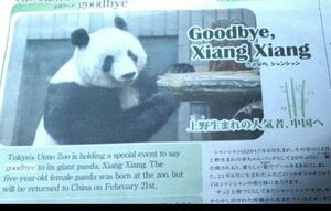 上野動物園 パンダ　シャンシャン　新聞　記事