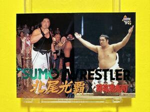 BBM'97 プロレスカード　スペシャルカード　SUMO WRESTLER 北尾光覇