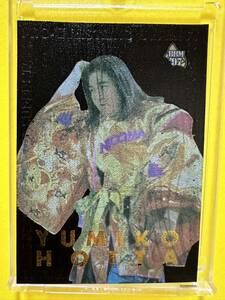 BBM'97 プロレスカード　スペシャルカード　レザーカード　LE11 堀田祐美子