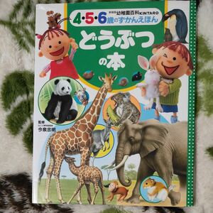 どうぶつの本 （新装版幼稚園百科ＫＩＮＴＡＲＯ　４・５・６歳のずかんえほん　１） 今泉忠明／監修 入園準備 育児本