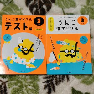 小学3年生 うんこ漢字ドリル 日本一美しい漢字ドリル テスト編 文響社 国語 こくご