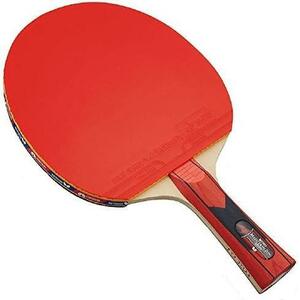* water . Hayabusa player * () ping-pong racket 2000 Raver .. racket 5 sheets . board 16930