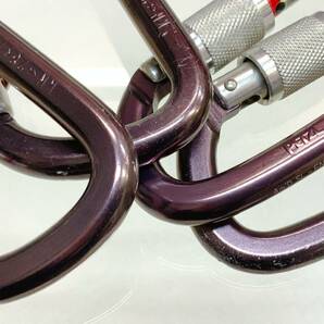 ぺツル エーエムディー スクリューロック PETZL AM’D  の画像5