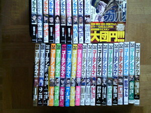  all 31 volume # Golden Kamui all 31 volume Noda satoru# movie . mountain .. person. mountain rice field ..,.. rice field .., sphere tree .,....