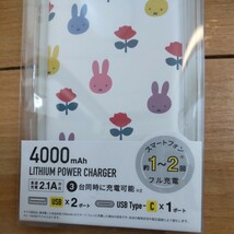 新品 ミッフィー モバイルバッテリー & ACアダプター セット 急速充電 リチウムイオンポリマー充電器 miffy グルマンディーズ_画像4