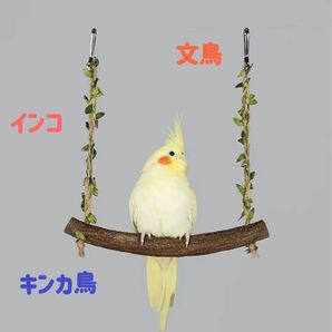 小鳥ブランコ　止まり木　おもちゃ　文鳥　キンカ鳥　インコ止まり木　鳥ブランコ　鳥オモチャ　鳥用品