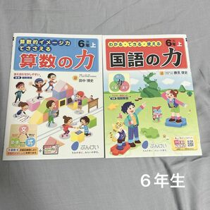 算数 国語 問題集 教科書ワーク 算数の力 国語の力　ドリル　6年生 小学生