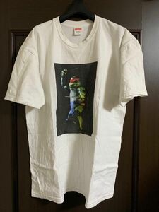 Supreme 21SS Raphael Tee Lサイズ 白　ラファエロ　ミュータントタートルズ