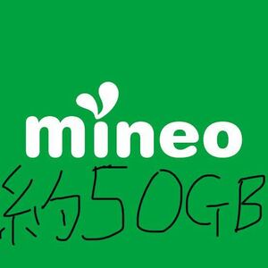 mineo マイネオ パケットギフト 約50GB (9999MB×5)