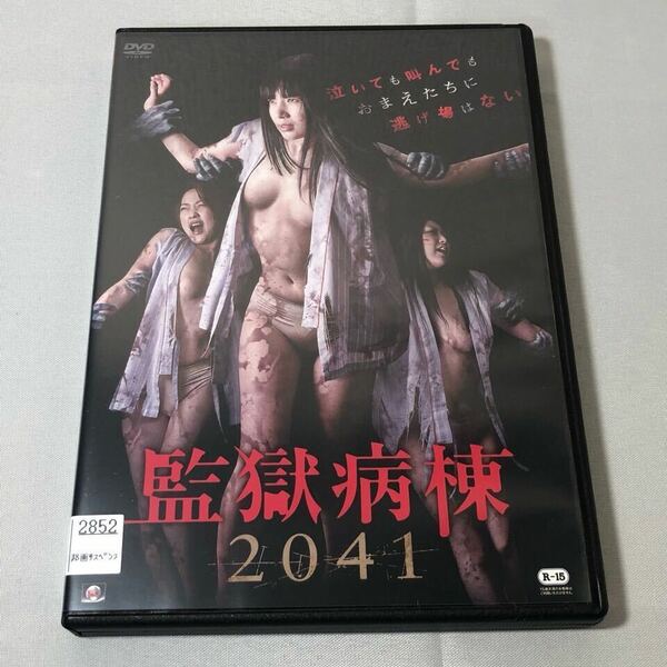 送料無料 DVD 監獄病棟2041 名無しの千夜子 黒木歩 晴香いく レンタル落ち