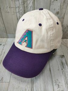 NEW ERA × BRIWN ダイヤモンドバックス キャップ ニューエラ