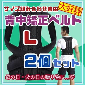 2個　Lサイズ　背中　矯正　ベルト　腰痛改善　猫背　サポータ　介護　リモート　23