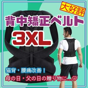 3XLサイズ　背中　矯正　ベルト　猫背　サポータ　リモート　介護　保育士　腰痛　21