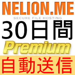 【自動送信】Nelion.me プレミアムクーポン 30日間 完全サポート [最短1分発送]の画像1