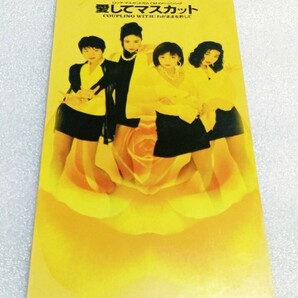 ★☆8cm CD シングル 安室奈美恵 スーパーモンキーズ '93年「愛してマスカット」SUPER MONKEY'S 4★☆の画像1