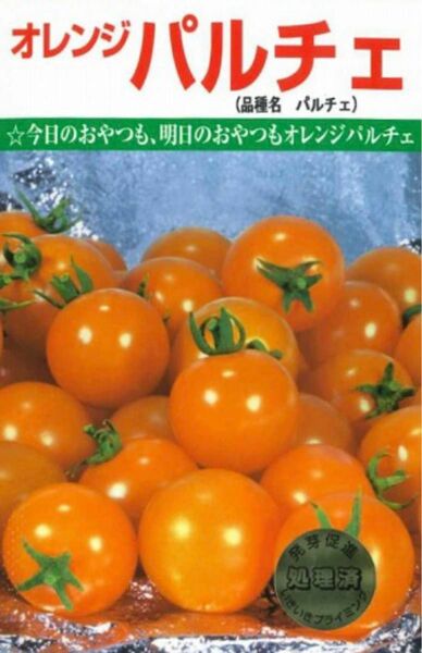 値下　オレンジパルチェ　ミニトマト　種　小分売り　20粒