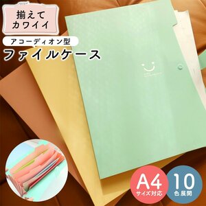 書類整理 書類収納 ドキュメントファイル A4 2冊セット 領収書 書類 レシート 家計 作品 可愛い ジャバラ 5ポケット【ターコイズ】