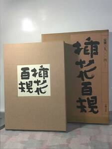 1978『挿花百規』小原豊雲 主婦の友社 華道 生け花 中古 現状品