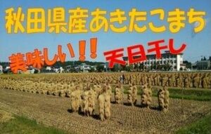 農家直送☆令和５年産☆自然乾燥米 秋田県産あきたこまち玄米２０kg