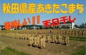 農家直送☆令和５年産☆自然乾燥米 秋田県産あきたこまち玄米２０kg