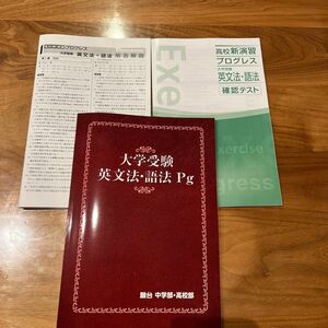 駿台　大学受験　英文法・語法Pg 2024年版　高校新演習　プログレス