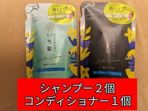 いち髪 カラーケア&ベーストリートメントin シャンプー2個コンディショナー1個