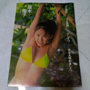 坂木優子　1994年　ビキニ　切抜き　5ページ 　S1X