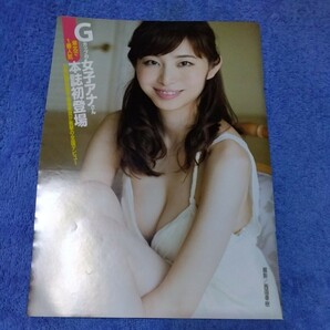 塩地美澄 2015年  Gカップ 女子アナ 本誌初登場 切抜き 6 ページ c-6の画像1