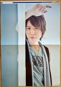 [ポスター] 神谷浩史/平野綾 声優専門誌 Pick-up Voice Vol.21 とじ込み付録ピンナップ