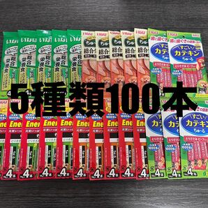 犬　いなば　ちゅーる　国産品　5種類 100本