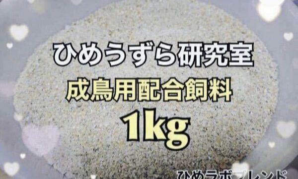 ひめうずら餌 ヒメウズラ 姫うずら 成鳥用餌 鳥 うずら 成鳥 姫鶉 鶉