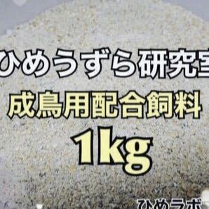 1kg ひめうずら餌 鳥 うずら 姫鶉 ヒメウズラ 成鳥用 姫うずら 成鳥用餌 鶉 成鳥 美味しい！の画像1