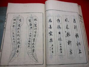 a504◇ 略可法2冊揃　書道　扁額　掛軸　和本 古書 古文書