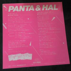 パンタ PANTA & HAL／ルイーズ c/w ステファンの６つ子 特銀スリーブ 美品の画像2