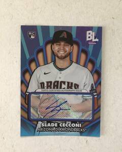 直筆サインカード　スレイド・セッコーニ　SLADE CECCONI　 ダイヤモンドバックス　RC　MLB 2024 TOPPS BIG LEAGUE