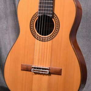 NIIBORI GUITAR/新堀ギター クラシックギター NPA-30Hの画像1