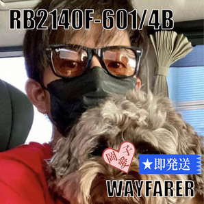 ★送料安★RB2140F-6014B★レイバン 国内正規品 キムタクモデル RB2140F-601/4B RayBan の画像2