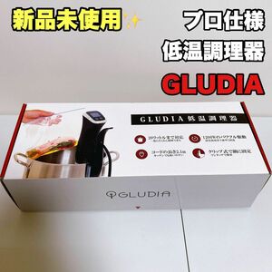 【新品】STYLUX 低温調理器 GLUDIA GLU-INM01