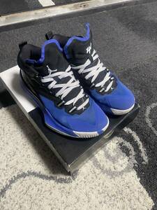 NIKE ナイキ JORDAN ZION 1 PFザイオン27cm中古美品　30