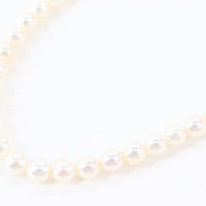 MIKIMOTO ミキモト 本真珠 パール ネックレス 留め具シルバー 約0.5mm珠 アクセサリー M刻印 SIL刻印 証明書付き 4562-Kの画像4