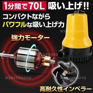 ヒルジポンプ 水中ポンプ 24V ワニクリップ クランプ スイッチ付 小型 給水 排水 海水 電動 水槽 散水 汚水 排水 釣り キャンプ E357TWの画像2