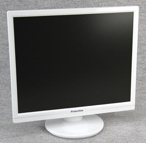 M*PRINCETON( Prince ton )/19 type liquid crystal monitor / white color LED backlight panel /PTFWUF-19/D-SUB,DVI, speaker (1