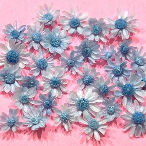 スターフラワーミニ　ドライフラワー　花材　スカイブルー　水色　ブルー　青　