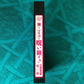 VHS 嫌いなアイツを呪い殺せ!!誰でもできる呪い術 この道 道の向こう 何かが…何かが待つ スキよ!スキよ!ダイスキ君テリー伊藤ビデオ安売王の画像4