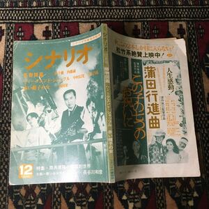 シナリオ 1982年12月号 ウィークエンドシャッフル 赤い帽子の女 神代辰巳 桂千穂 筒井康隆 中村幻児 吉本昌弘 内田栄一大森一樹 長谷川和彦