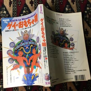 ゲイのおもちゃ箱 ABCからHまで…。ゲイの遊び方・楽しみ方，教えてあげる!! 別冊宝島EX 大塚隆史 マーガレット小倉東 ブルボンヌ 西野浩司の画像1