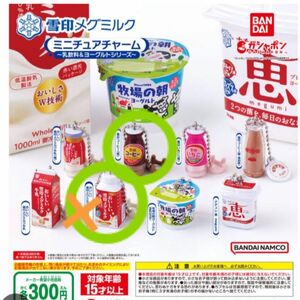 雪印メグミルク　ミニチュアチャーム　乳飲料&ヨーグルトシリーズ